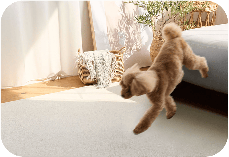 ホームタイルへ飛び降りる犬