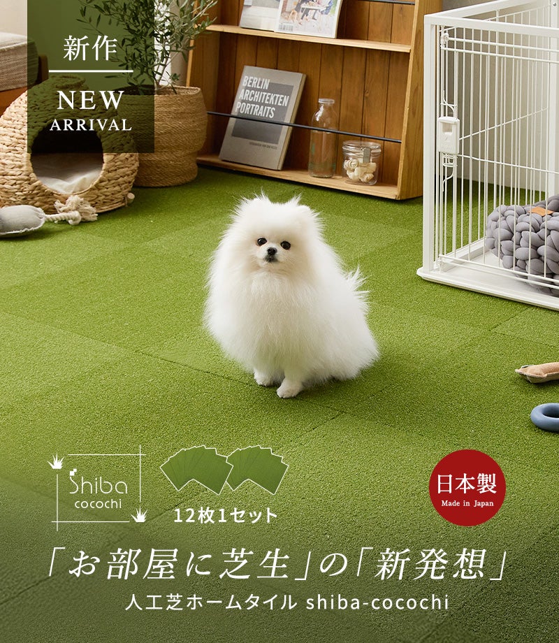shiba-cocochi (TT400HT) | 日本じゅうたんオンラインショップ ジョイ